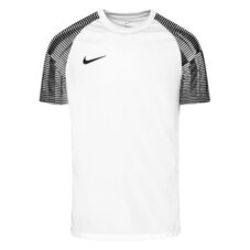 Футболка игровая Nike Dri-Fit Academy DH8031-104