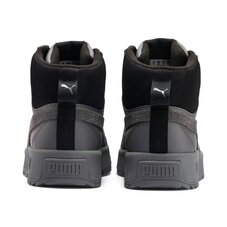 Черевики Puma Tarrenz SB 370551-03