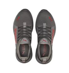 Кросівки бігові Puma Softride Premier 376540-08