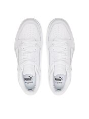 Кроссовки Puma Slipstream 387544-02