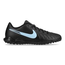 Сороконіжки Nike Legend 10 Club TF DV4345-003