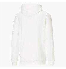 Реглан Puma Essentials Big Logo 846812-02