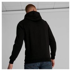 Реглан Puma Essentials Big Logo 846849-91