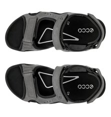 Сандалі Ecco Hike 532304-02013