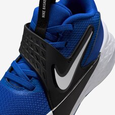 Кросівки дитячі Nike Team Hustle D 12 HF6280-400