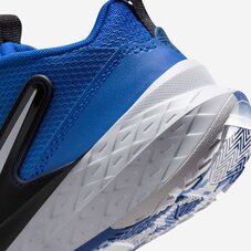 Кросівки дитячі Nike Team Hustle D 12 HF6280-400