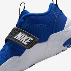 Кросівки дитячі Nike Team Hustle D 12 HF6280-400