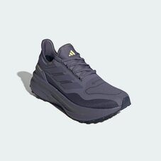 Кроссовки беговые Adidas Ultraboost GTX JQ2950