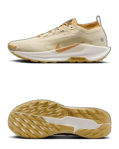 Кроссовки беговые Nike Pegasus Trail 5 GORE-TEX HQ7494-700