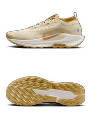 Кроссовки беговые Nike Pegasus Trail 5 GORE-TEX HQ7494-700
