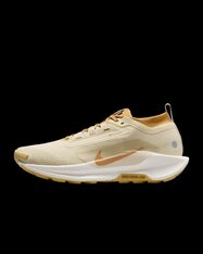 Кроссовки беговые Nike Pegasus Trail 5 GORE-TEX HQ7494-700