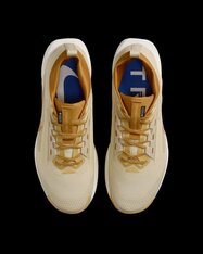 Кроссовки беговые Nike Pegasus Trail 5 GORE-TEX HQ7494-700