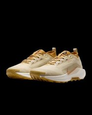 Кроссовки беговые Nike Pegasus Trail 5 GORE-TEX HQ7494-700