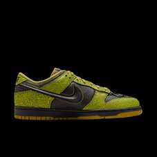 Кросівки Nike Dunk Low Retro HV6103-300