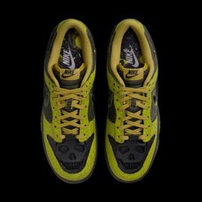 Кросівки Nike Dunk Low Retro HV6103-300