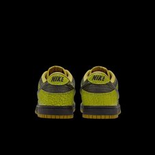 Кросівки Nike Dunk Low Retro HV6103-300
