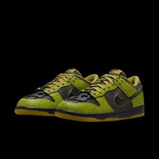 Кросівки Nike Dunk Low Retro HV6103-300