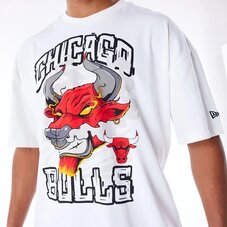 Футболка New Era Graphic Chicago Bulls 60565031