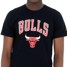 Футболка New Era Chicago Bulls NBA 60416749