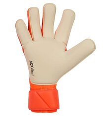 Воротарські рукавиці Nike Vapor Grip3 GK HQ0304-830