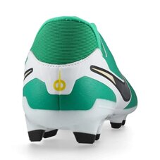 Бутсы Nike Tiempo Legend 10 Academy FG/MG HJ7268-300