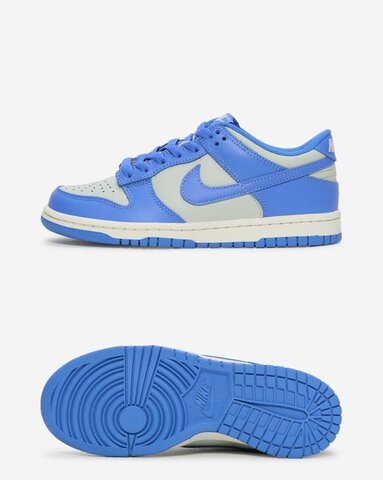 Кросівки дитячі Nike Dunk Low FB9109-004