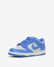 Кросівки дитячі Nike Dunk Low FB9109-004