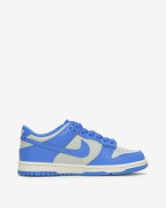 Кросівки дитячі Nike Dunk Low FB9109-004