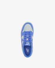 Кросівки дитячі Nike Dunk Low FB9109-004