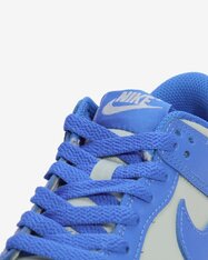 Кросівки дитячі Nike Dunk Low FB9109-004