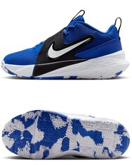Кроссовки для баскетбола детские Nike Team Hustle D 12 HF6279-400