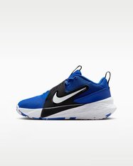 Кроссовки для баскетбола детские Nike Team Hustle D 12 HF6279-400