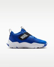 Кроссовки для баскетбола детские Nike Team Hustle D 12 HF6279-400