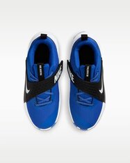 Кроссовки для баскетбола детские Nike Team Hustle D 12 HF6279-400