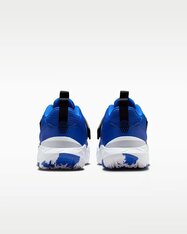 Кроссовки для баскетбола детские Nike Team Hustle D 12 HF6279-400
