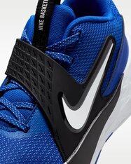 Кроссовки для баскетбола детские Nike Team Hustle D 12 HF6279-400