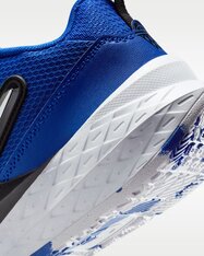 Кроссовки для баскетбола детские Nike Team Hustle D 12 HF6279-400