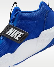 Кроссовки для баскетбола детские Nike Team Hustle D 12 HF6279-400